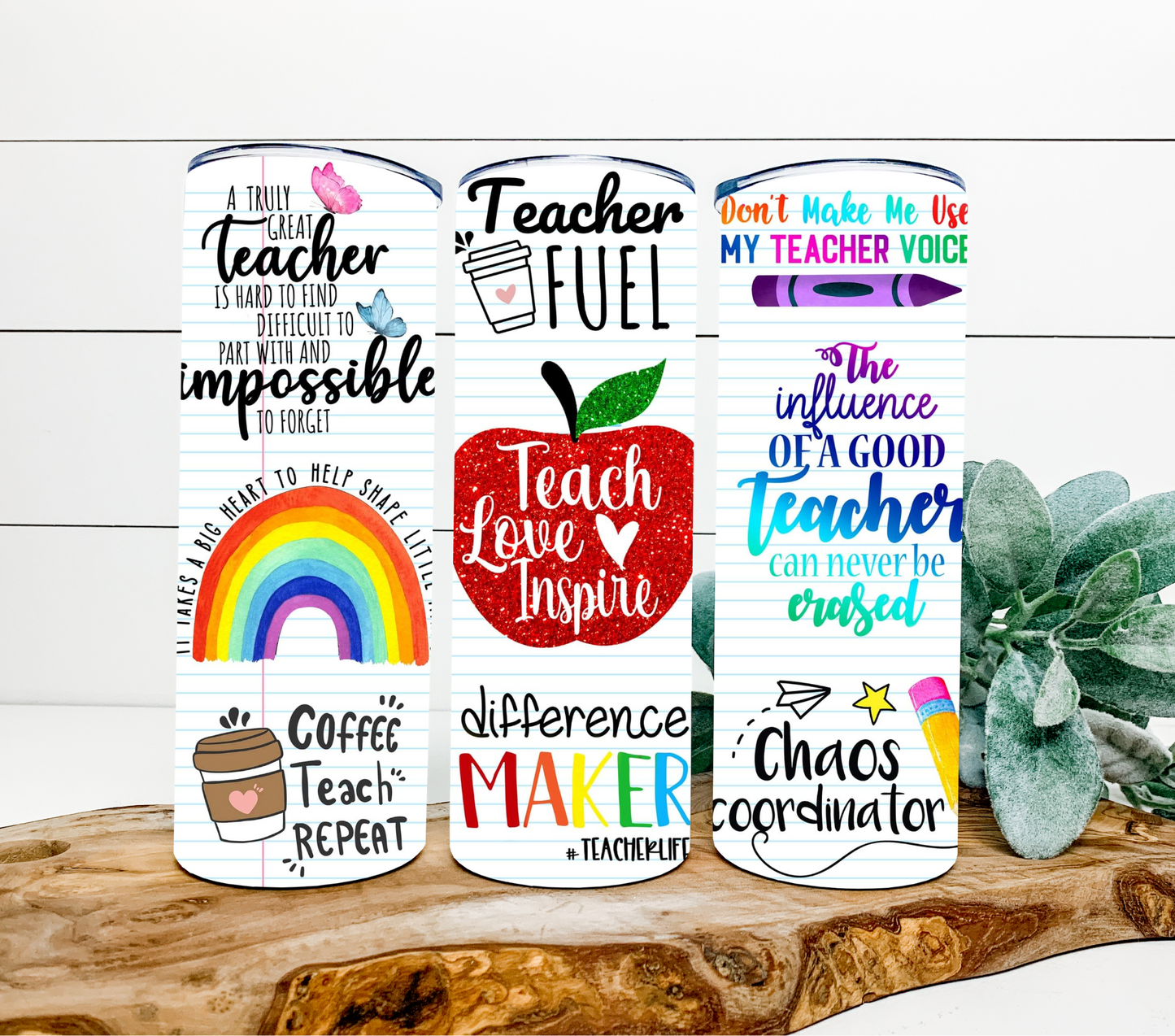 Life of a Teacher