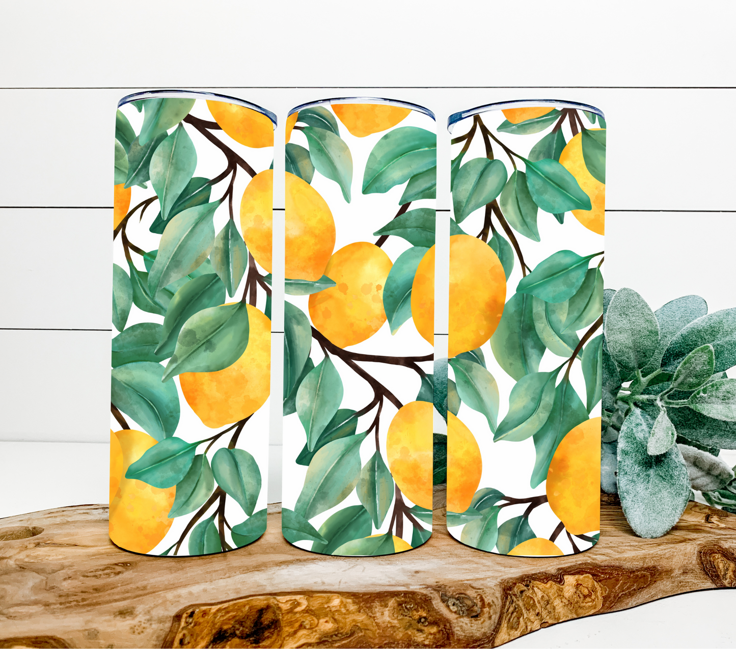 Lemon Orchard