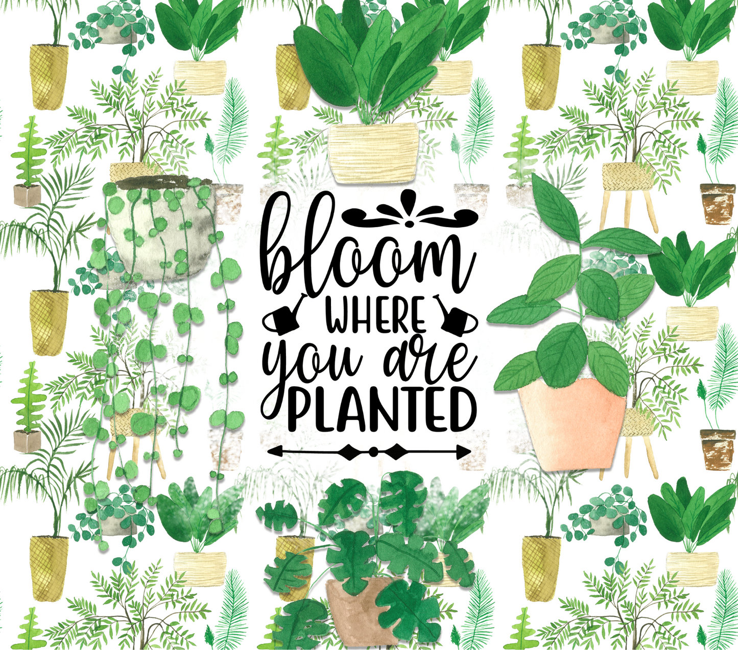 Bloom