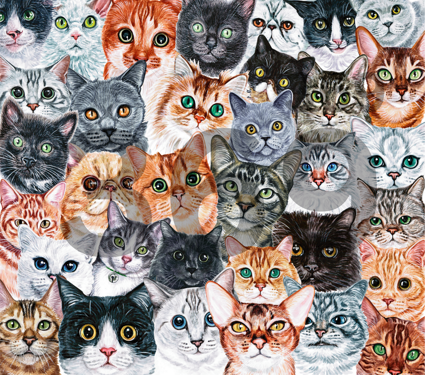 50 Shades of Kitty Kats