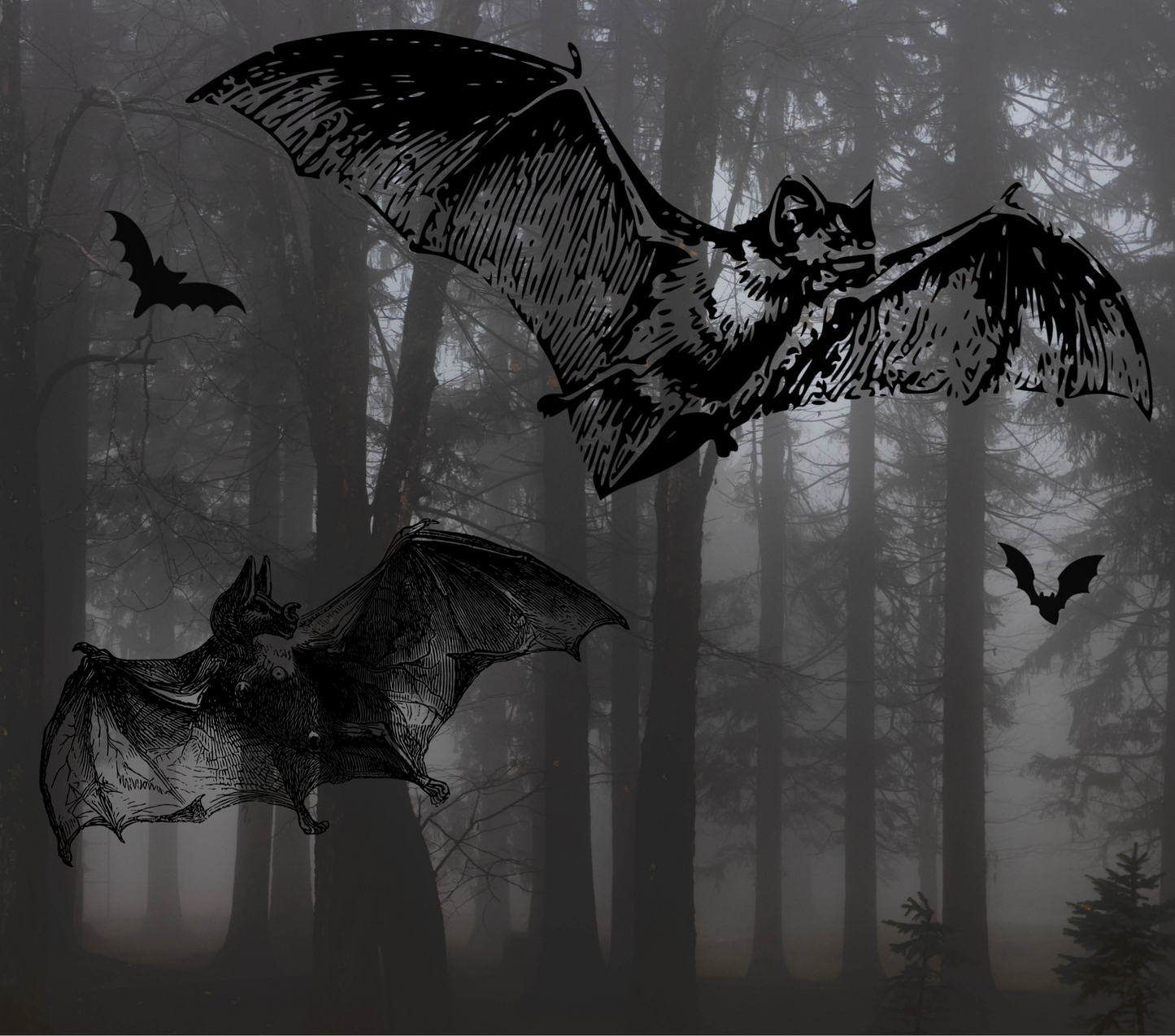 Batty Forest