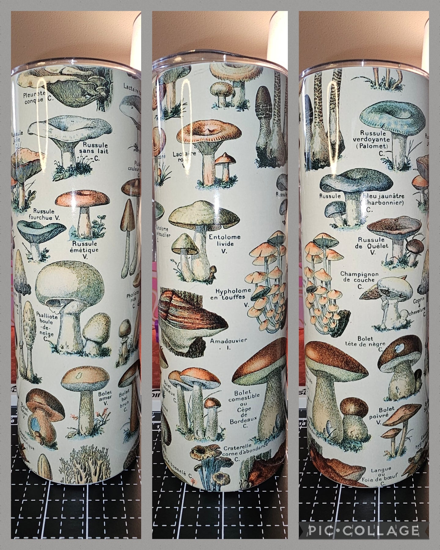 Vintage Mushrooms