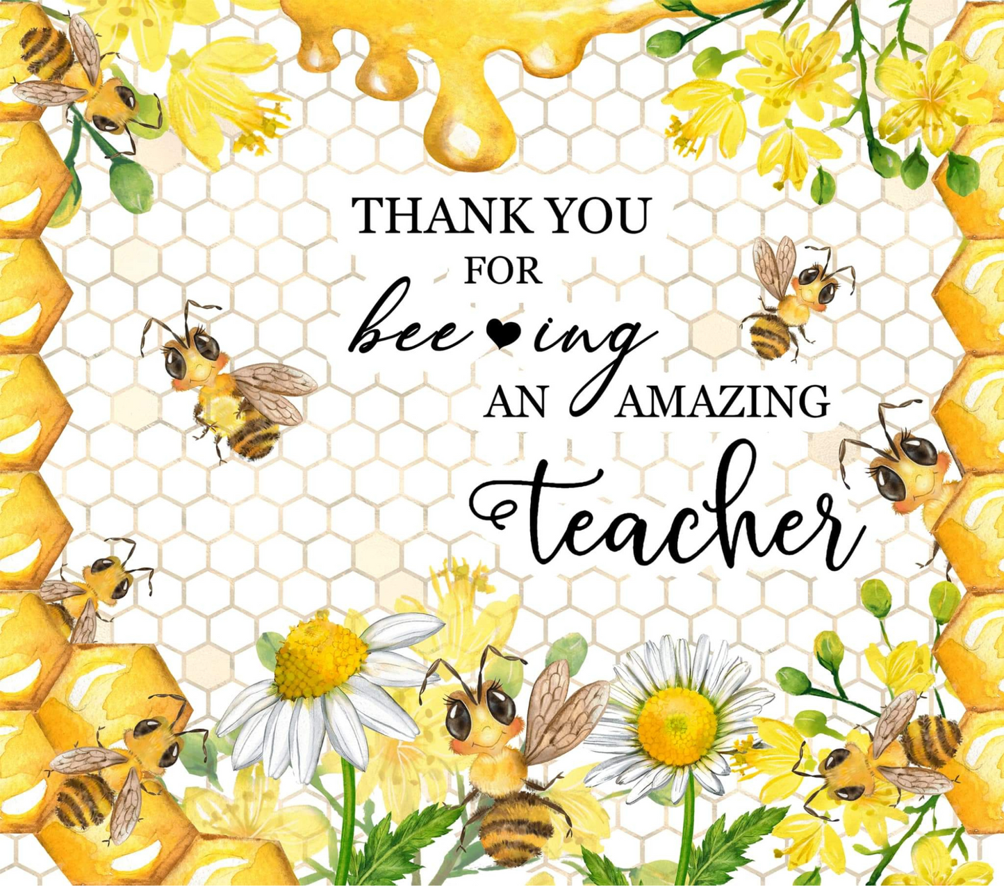 Amazing Teacher