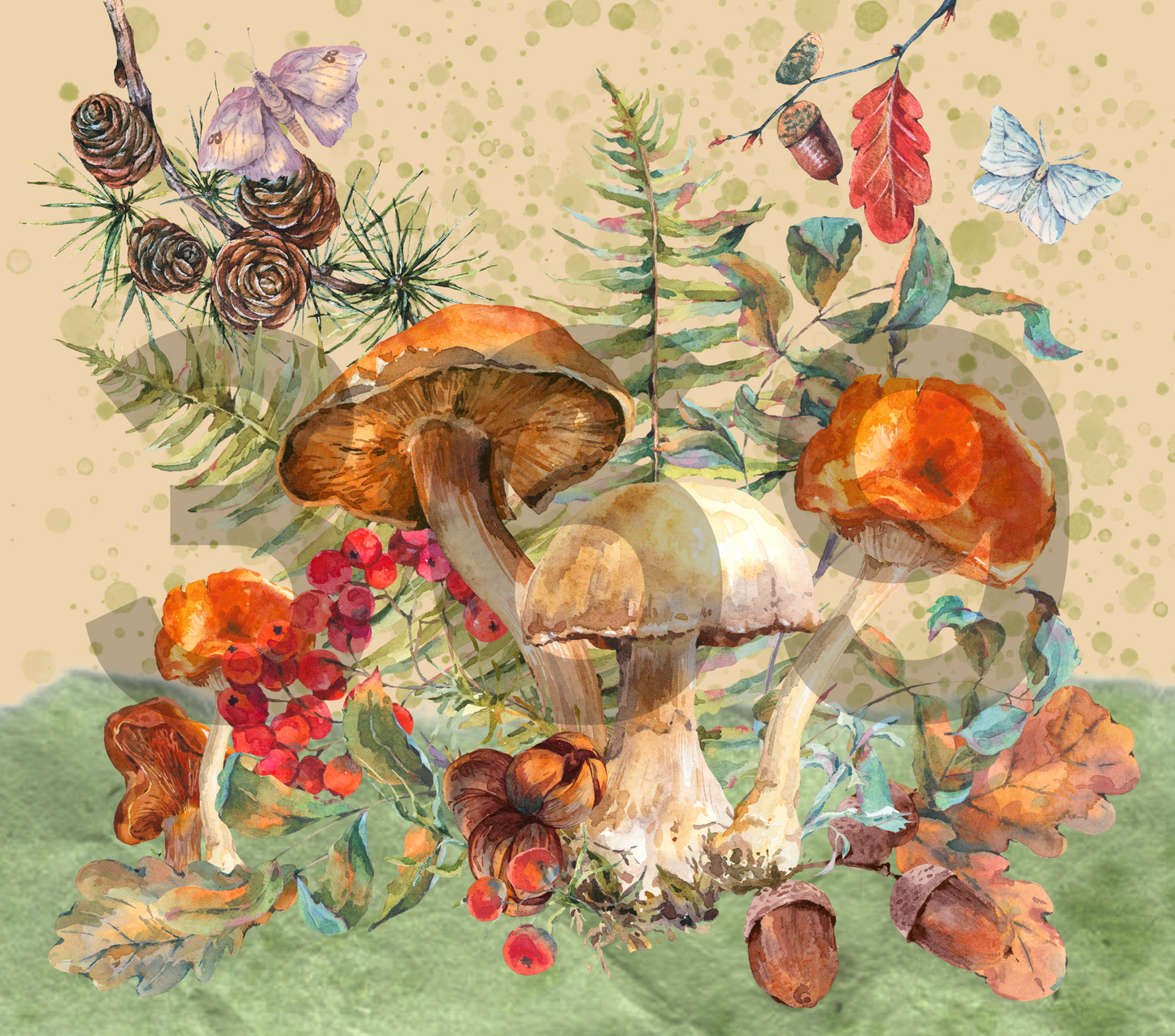 Fungus Among Us
