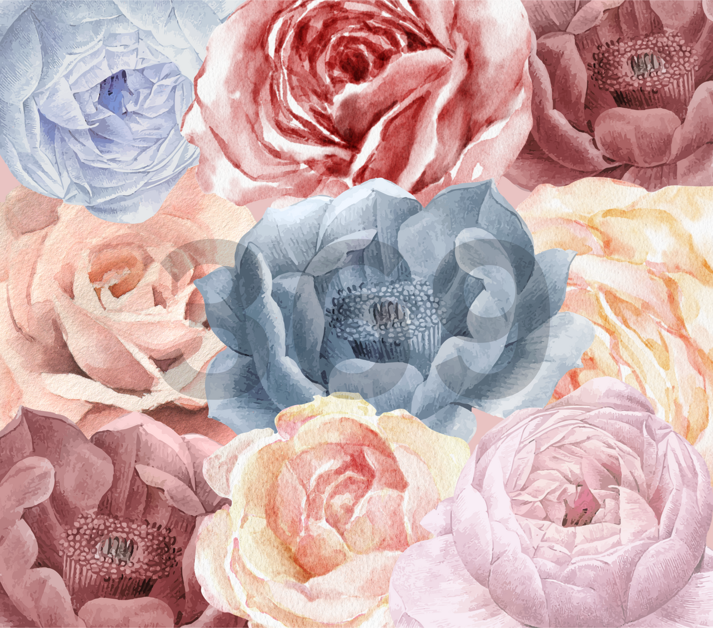 Roses are Pale