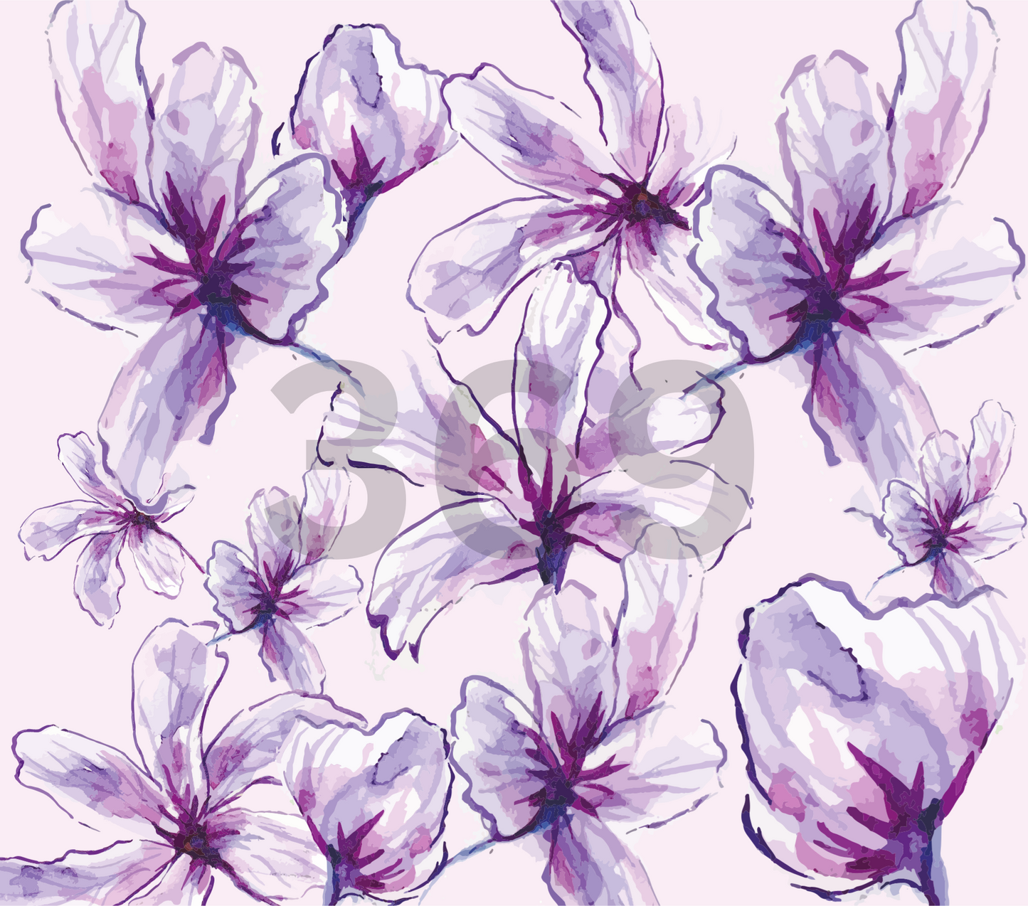 Wisteria