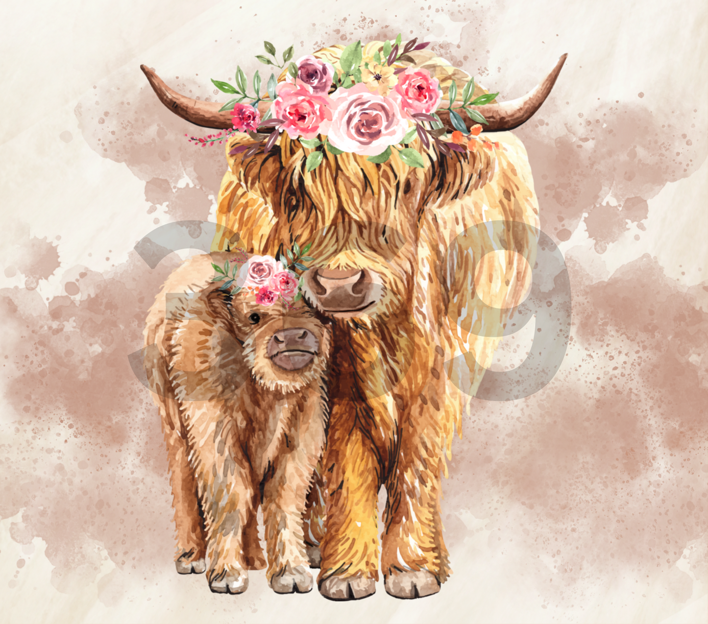 Moo & Mooette