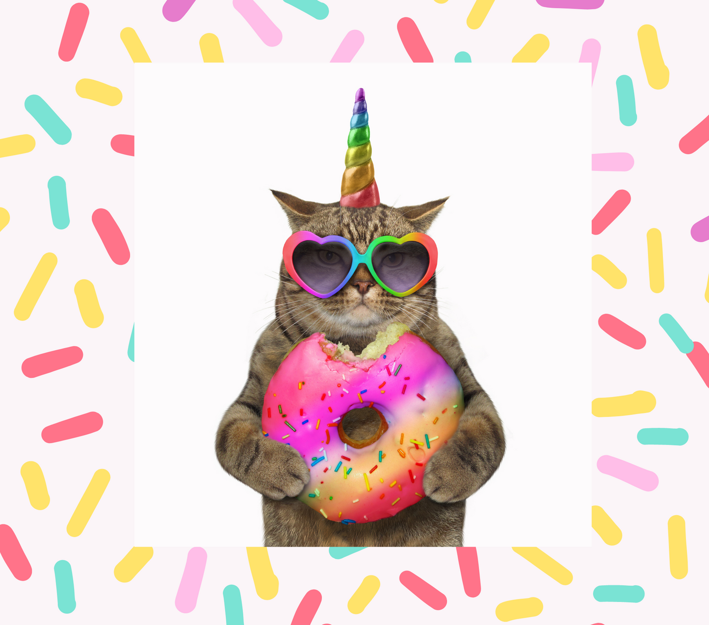 Unicorn Kitty