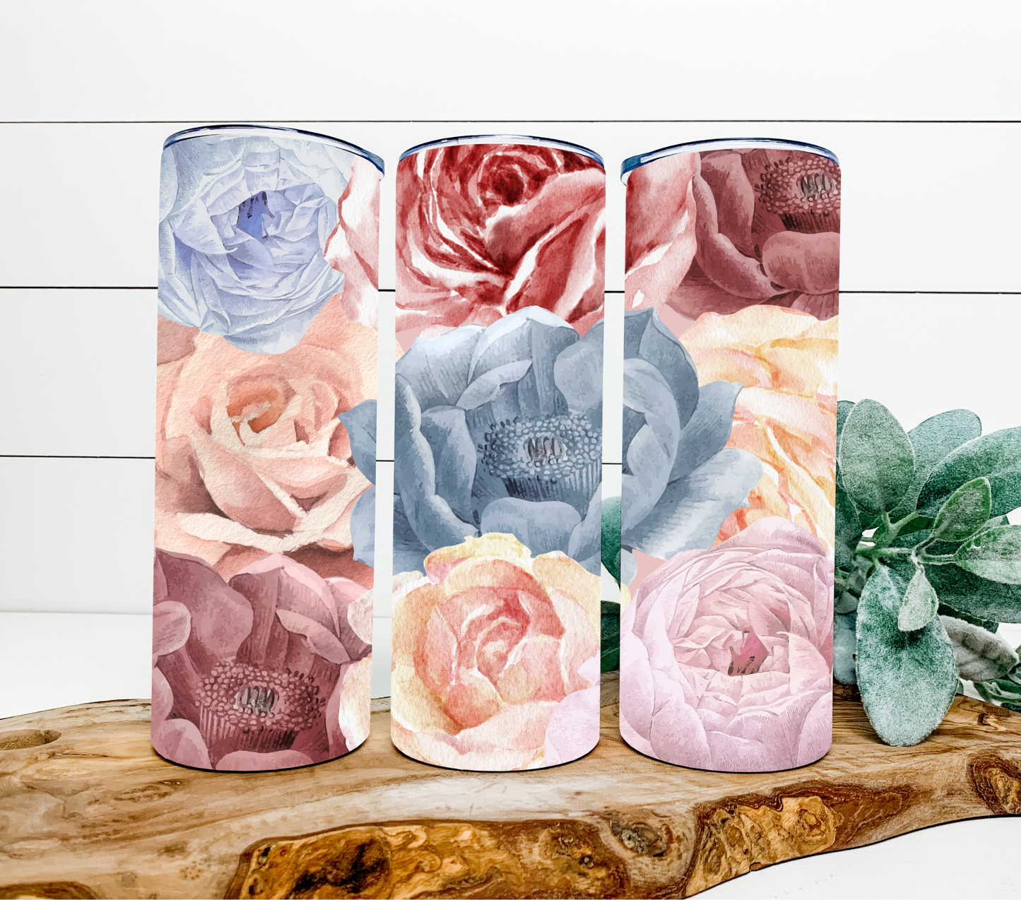 Roses are Pale