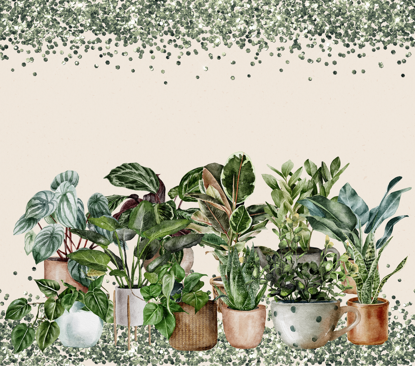 Potted Plants